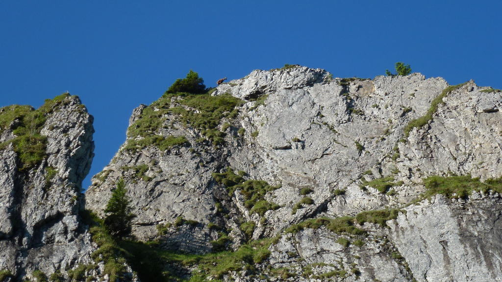 Gaestehaus Christa Obermaiselstein Exterior foto
